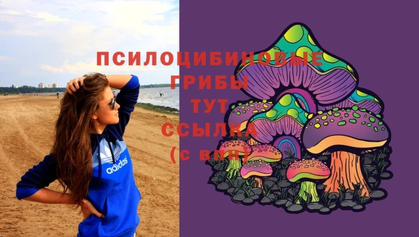 амф Балахна