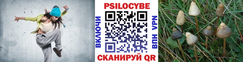 Псилоцибиновые грибы Cubensis  Озёры 